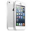 Apple iPhone 5 64Gb white - Чапаевск